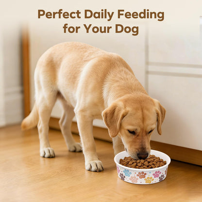 Hygienic single use disposable dog bowls for pet grooming shops