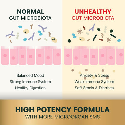 USA imported VetriScience extra strength gut health capsules nutritional facts panel