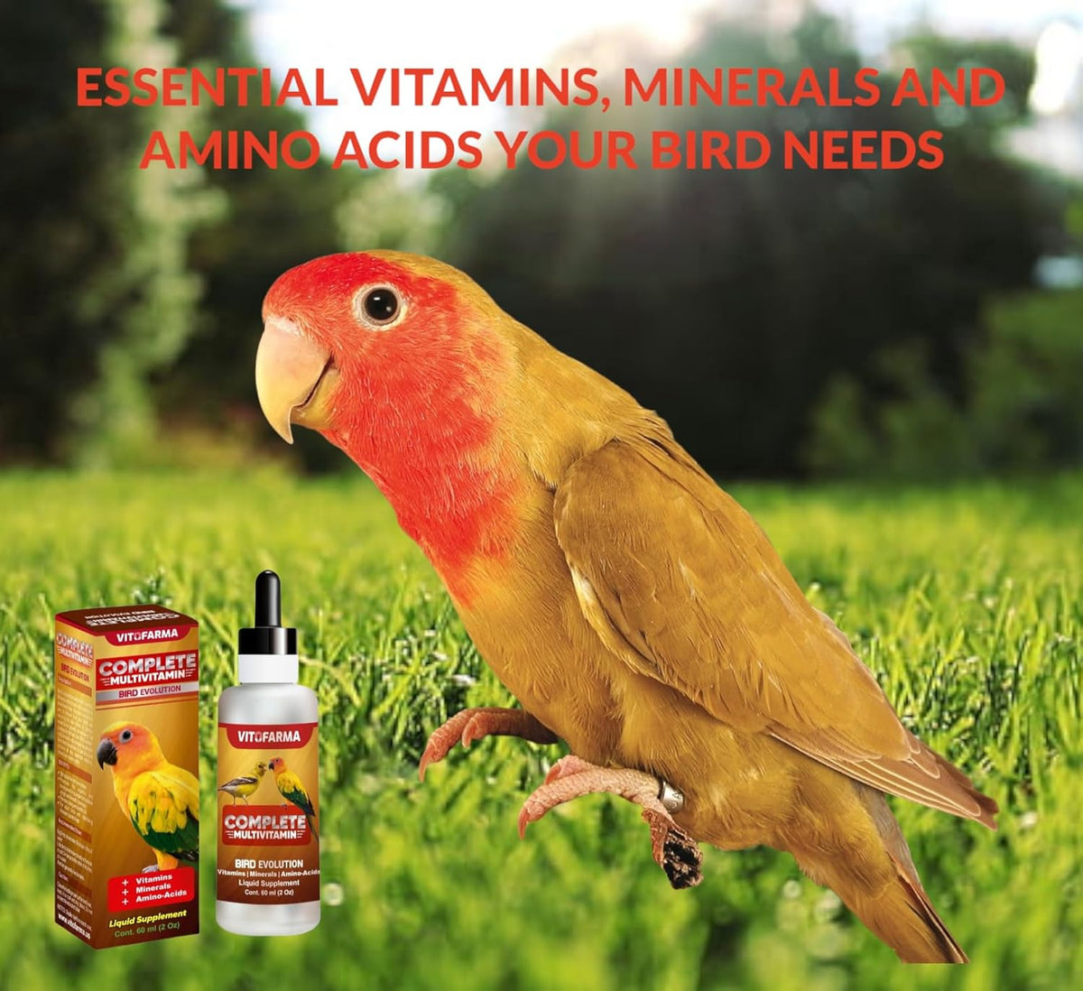 Vitofarma multi-vitamin supplement label detail view