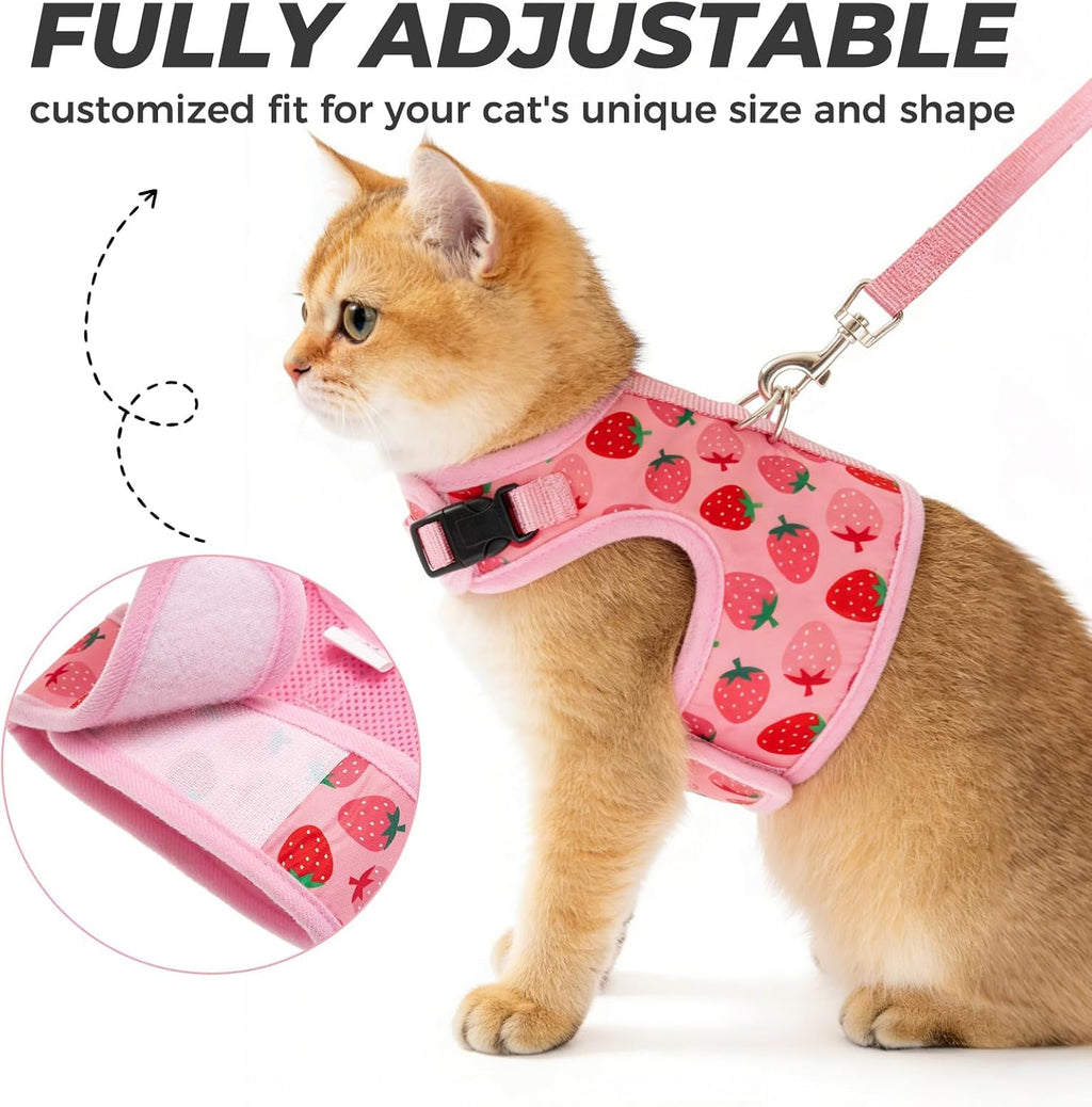 Bingpet strawberry pattern kitten harness set with matching comfortable walking leash