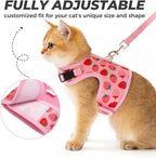 Bingpet strawberry pattern kitten harness set with matching comfortable walking leash