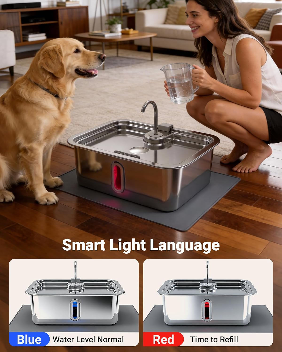 Quiet pump and internal setup of DeftPet fountain