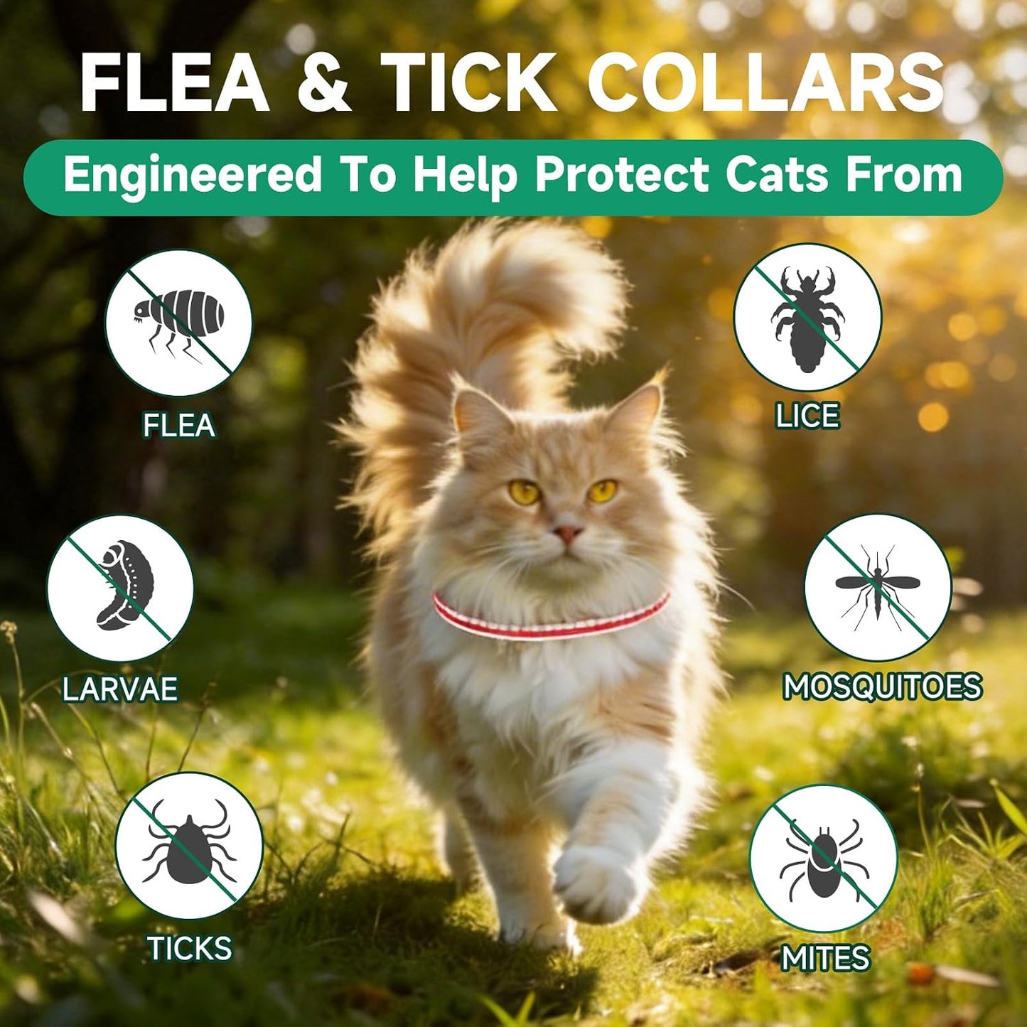 Red and white striped cat flea prevention collar