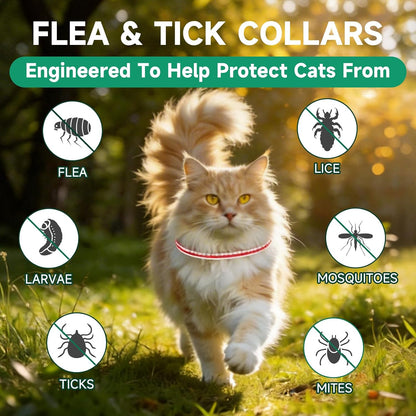 Red and white striped cat flea prevention collar