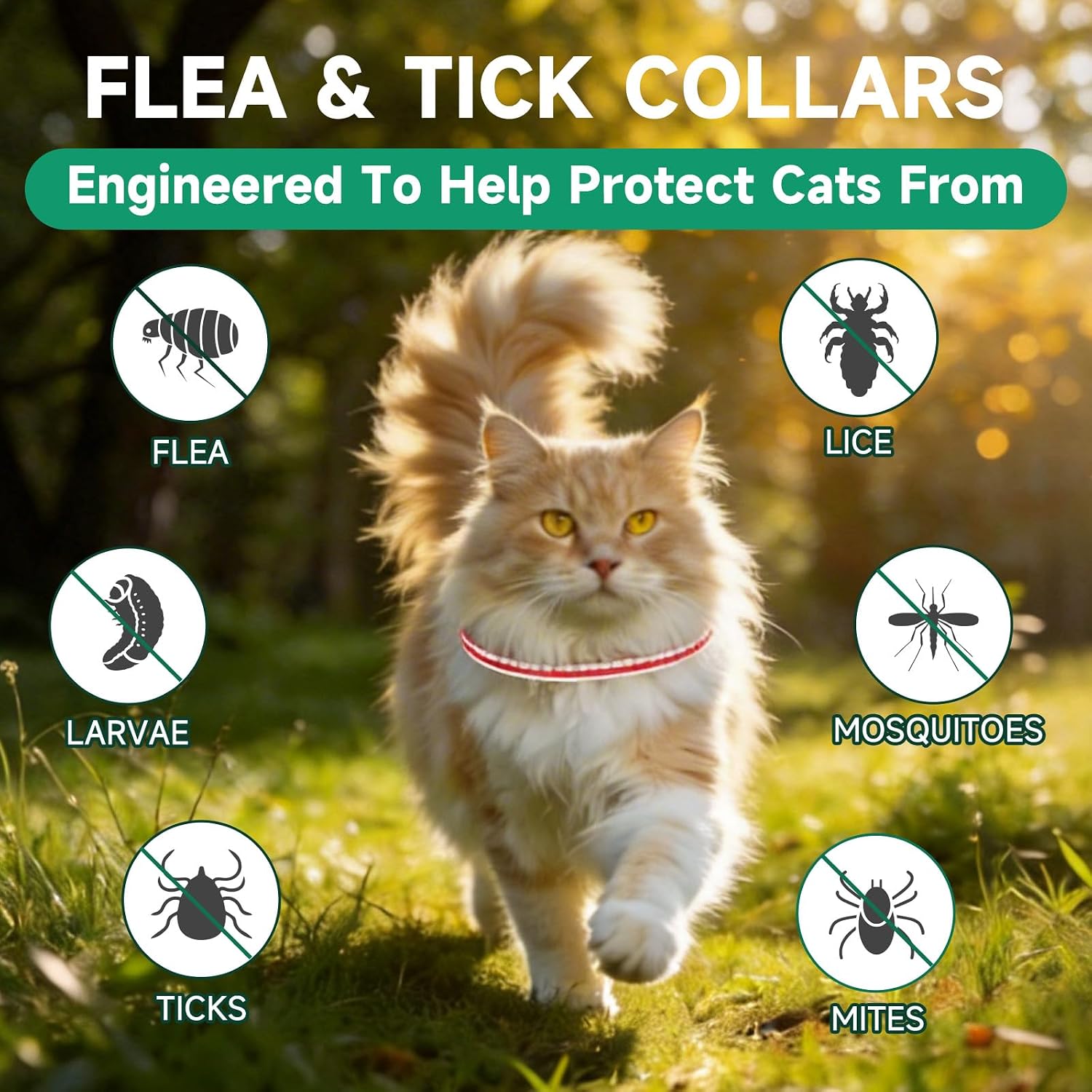 Four pack cat flea collar set for long term protection