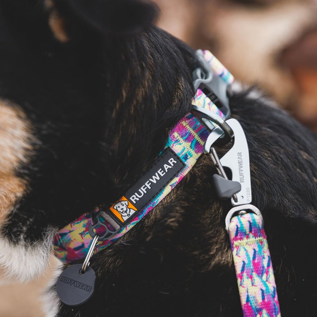Ruffwear Front Range collar Tubelok webbing texture detail