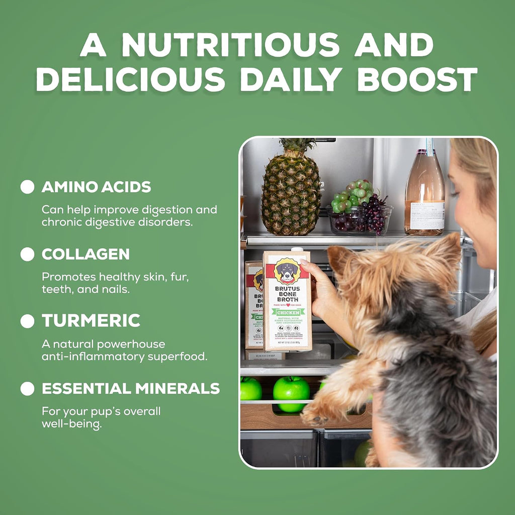 USA imported chicken bone broth bottle for picky dogs