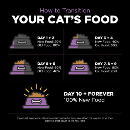 Go Solutions Carnivore premium cat food bag with complete ingredients list displayed clearly