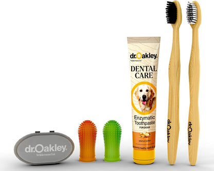 Safe dental care routine for dogs and cats