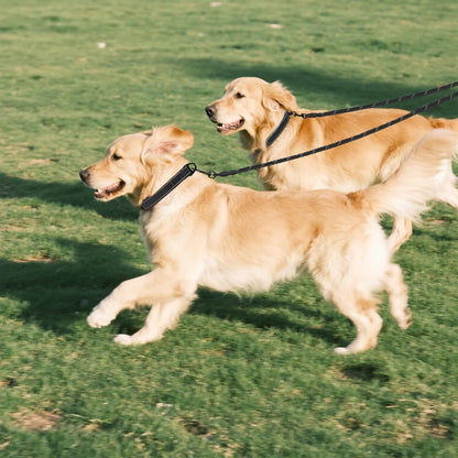Taglory double pet leash extension laid flat showing thirty inch total length.