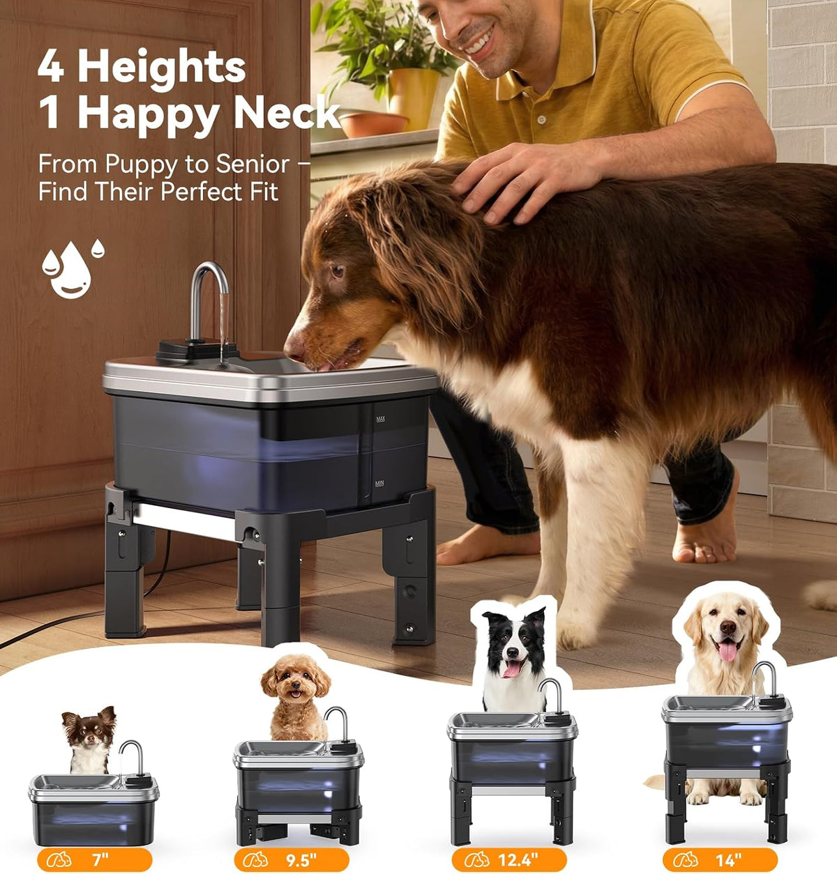 FeelNeedy adjustable pet fountain with stainless steel tray