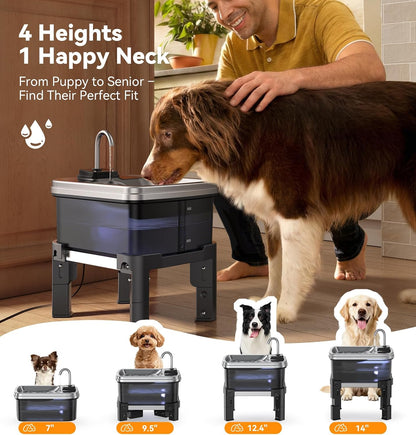 FeelNeedy adjustable pet fountain with stainless steel tray