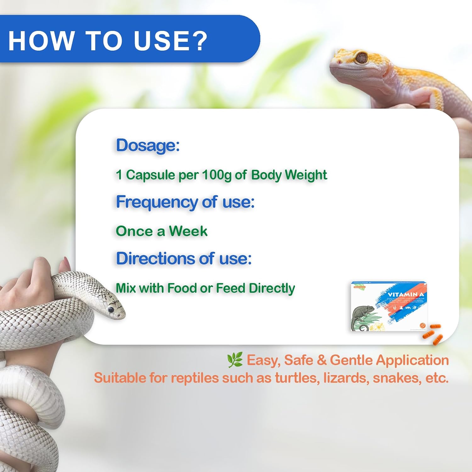 Reptile vitamin A supplement for lizard eye health