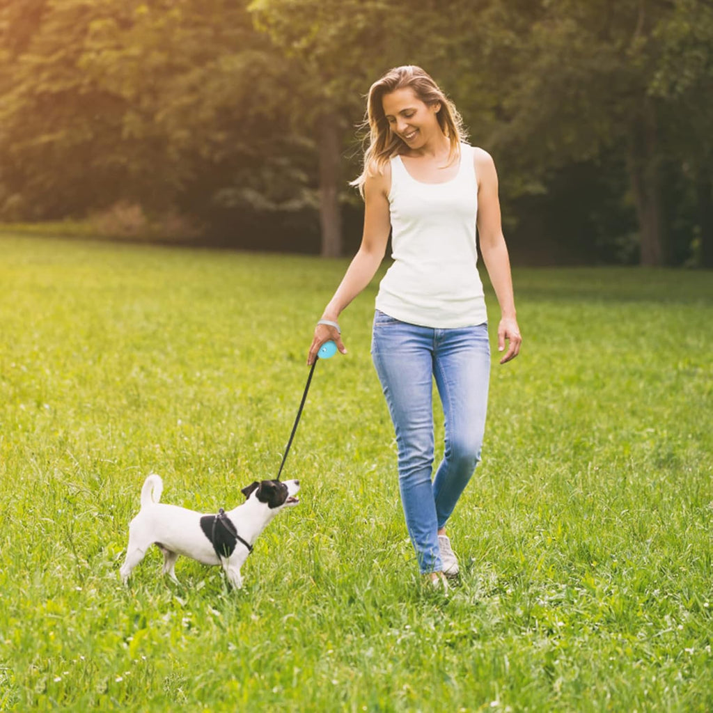 Blue Cugbcug leash with metal clip and collar attachment