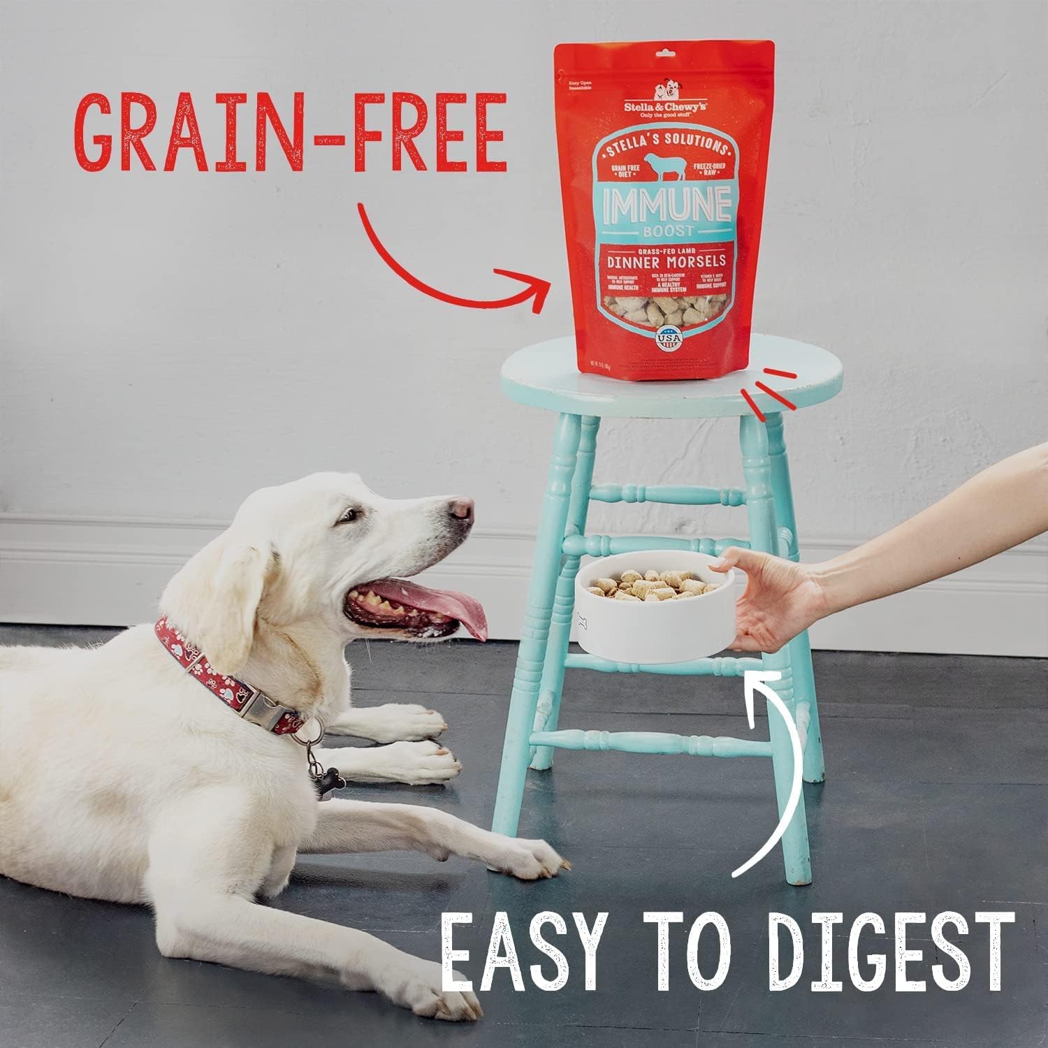 Grain free lamb and salmon formula dog food for shiny coat