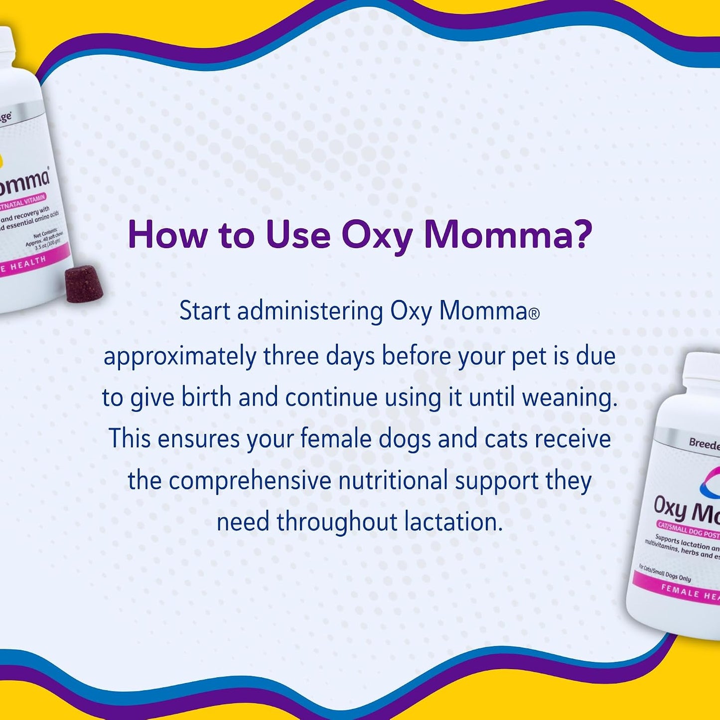 Premium pet recovery supplement for nursing mothers