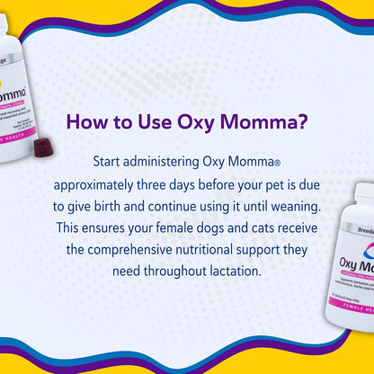 Premium pet recovery supplement for nursing mothers