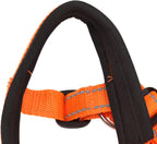 TOPINCN reflective premium nylon pet walking gear view