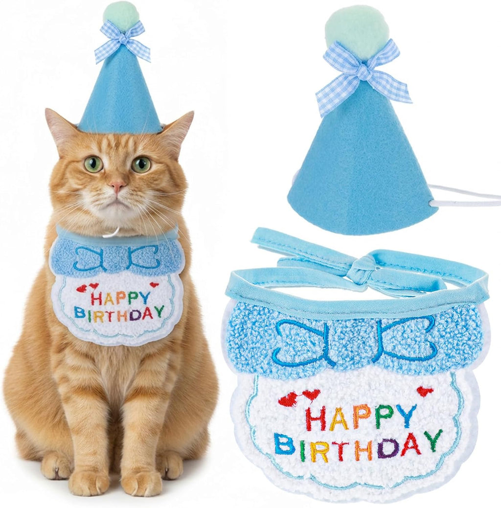 Tyqour cat birthday hat and blue bandana set front view