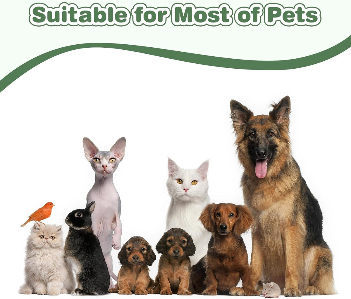 Efulycozyy waterproof pet burial box demonstrating leak proof foundation.