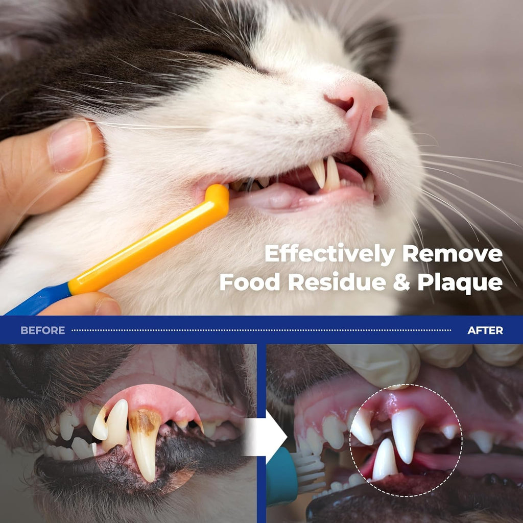 Pethroom pet toothbrush showing round brush head