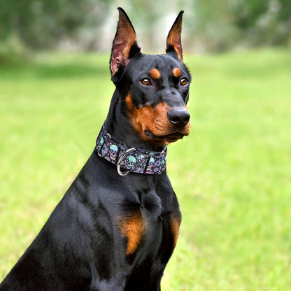 Maowuwujoz large breed dog collar showing durable metal hardware details