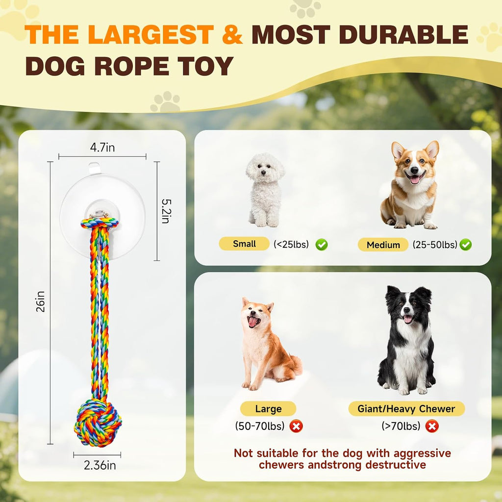 Duocharm tug of war dog toy for small and medium breeds indoor dental health care