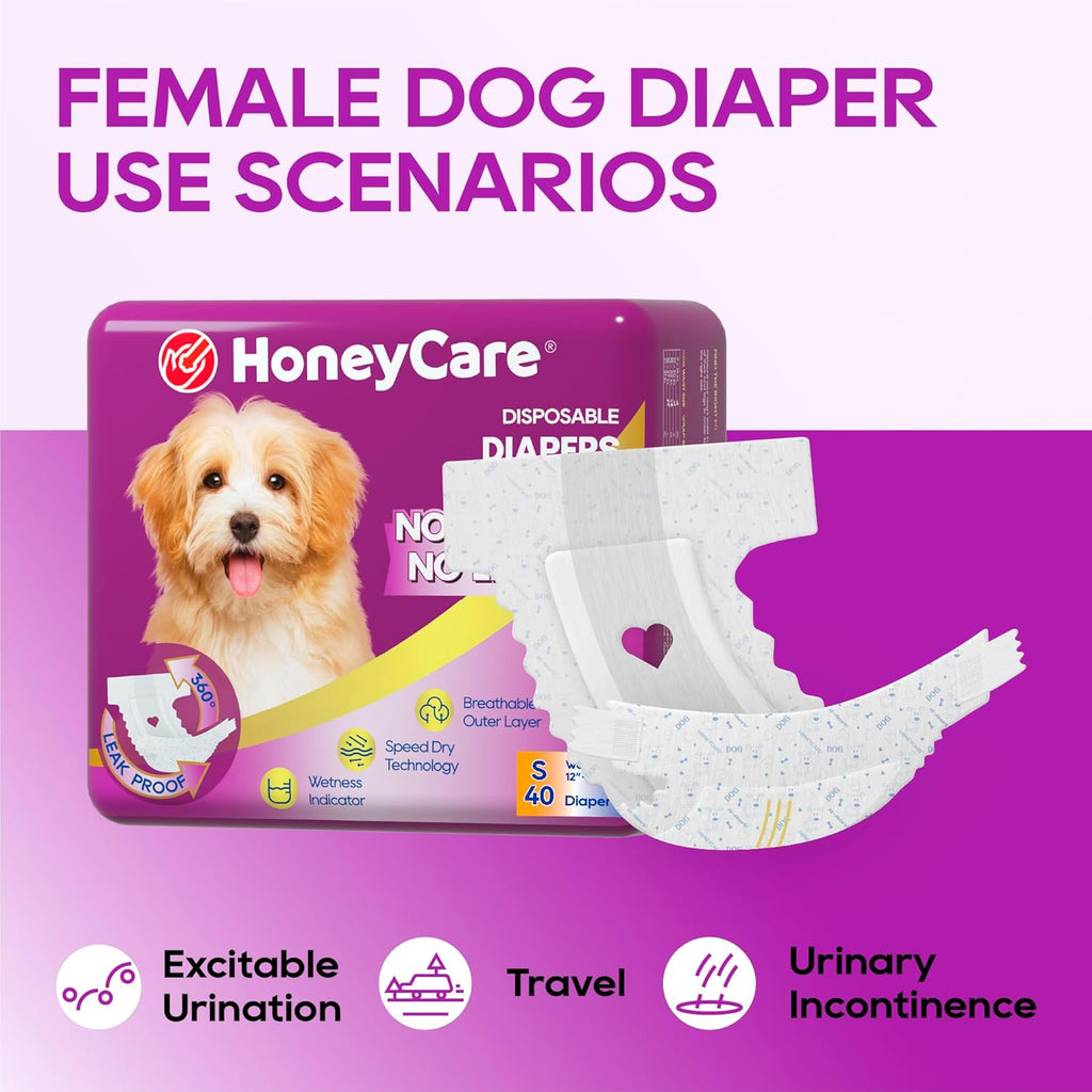 An authentic pack of imported Honey Care All Absorb diapers for female dogs.