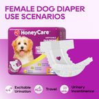 An authentic pack of imported Honey Care All Absorb diapers for female dogs.