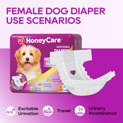 An authentic pack of imported Honey Care All Absorb diapers for female dogs.