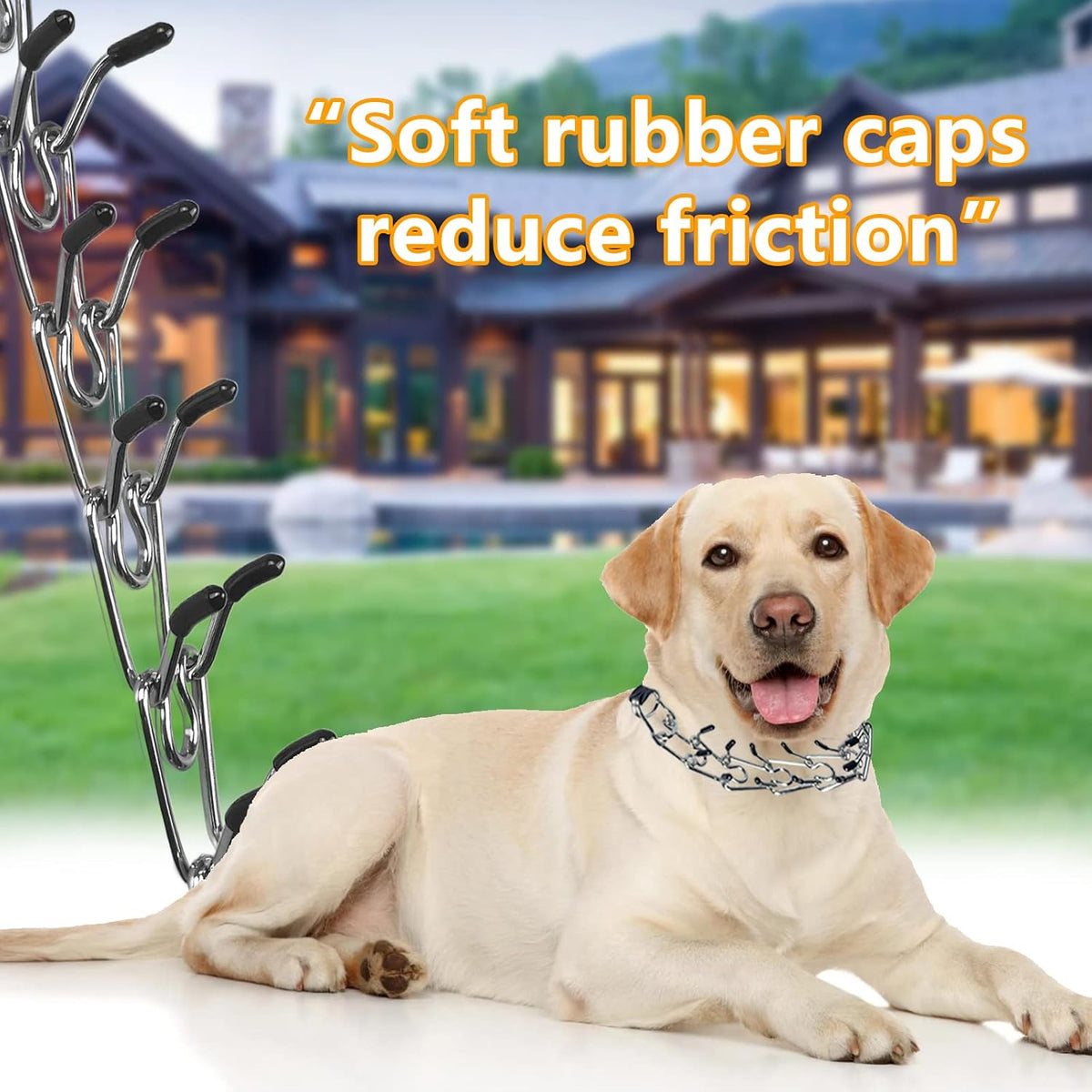Caremoon dog training collar set with extra parts