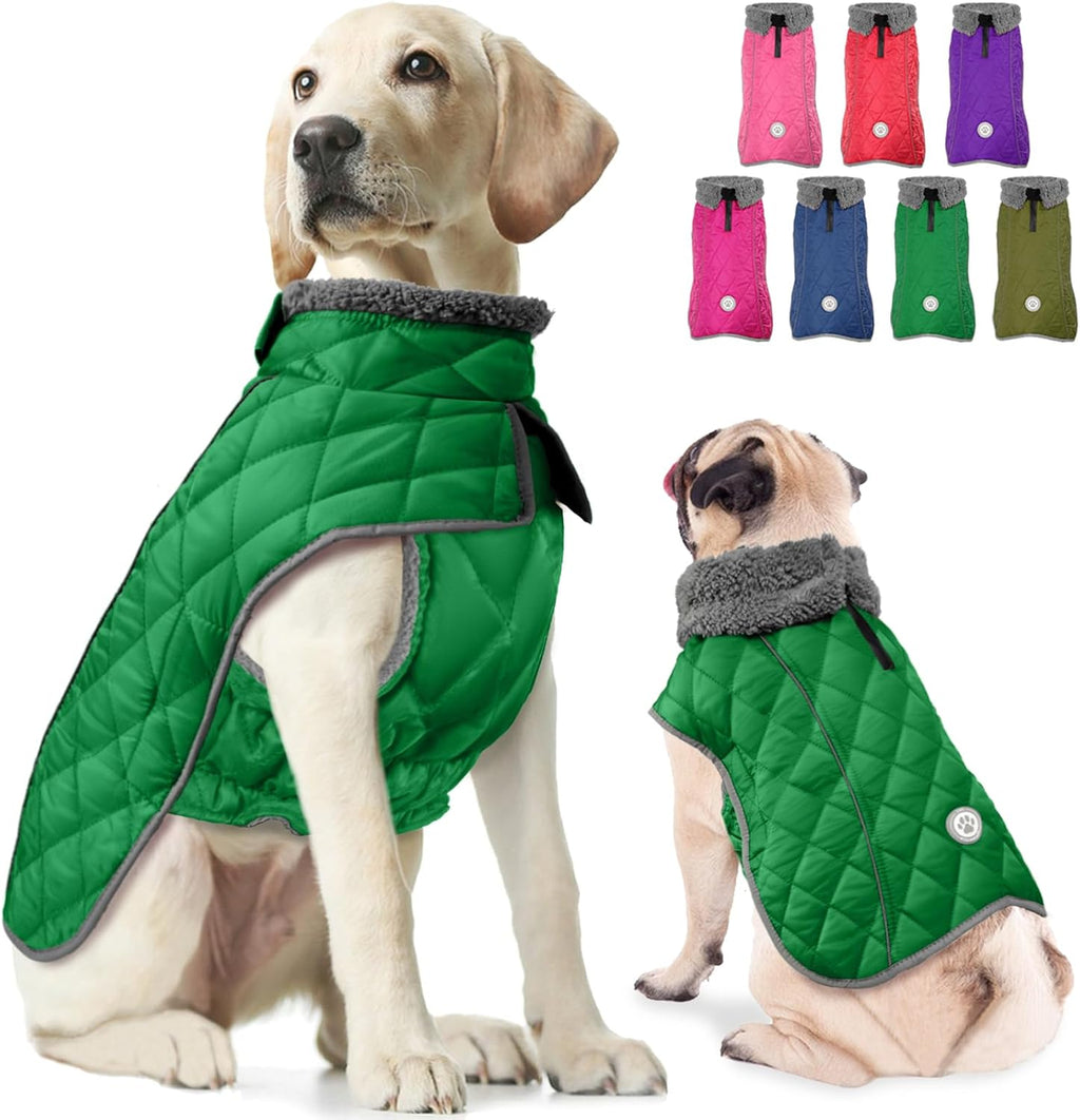 Fragralley winter vest on small medium large dogs sizing visual
