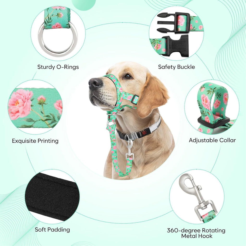 Higo Training Nose Leash safety link attachment overview