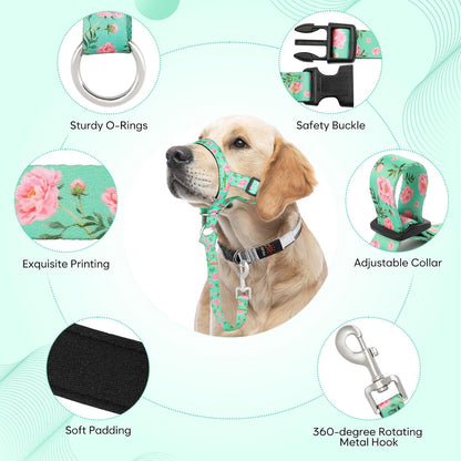Higo Training Nose Leash safety link attachment overview