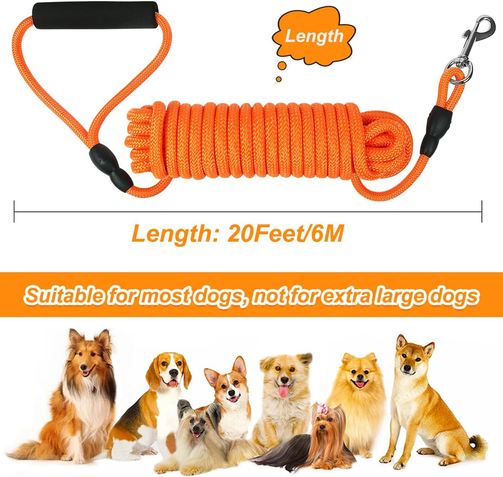 Vivifying imported twenty feet training rope leash for small medium dogs
