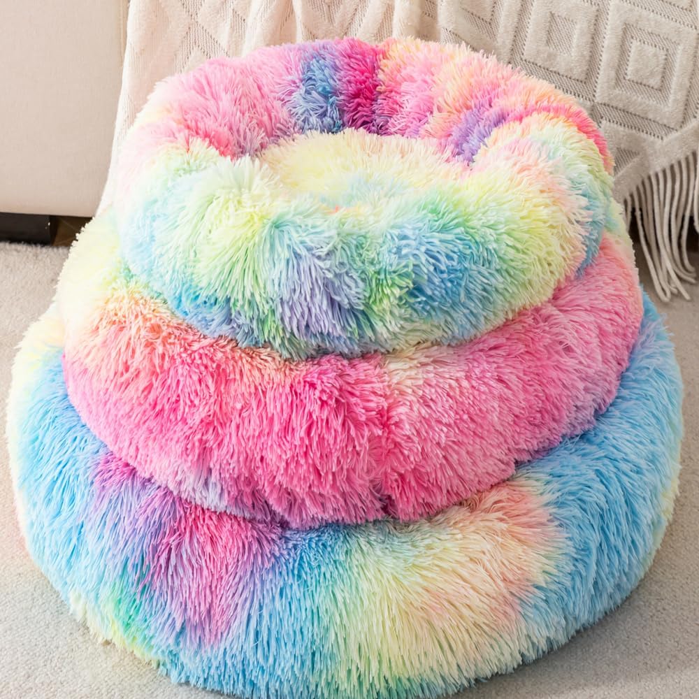 Small kitten resting comfortably in a round Finenohoory nest bed
