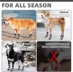 Kooltail dog boots for hot pavement protection