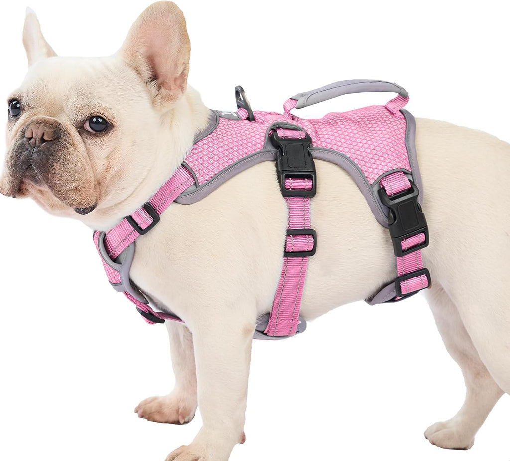 Huntboo Escape Proof Dog Harness, Escape Artist Harness, Reflective Dog Harness with Handle, Durable,Adjustable Vest for Small Medium Large Dogs Walking, Training, and Running Gear(Technicolor Blue,S) - Image 14