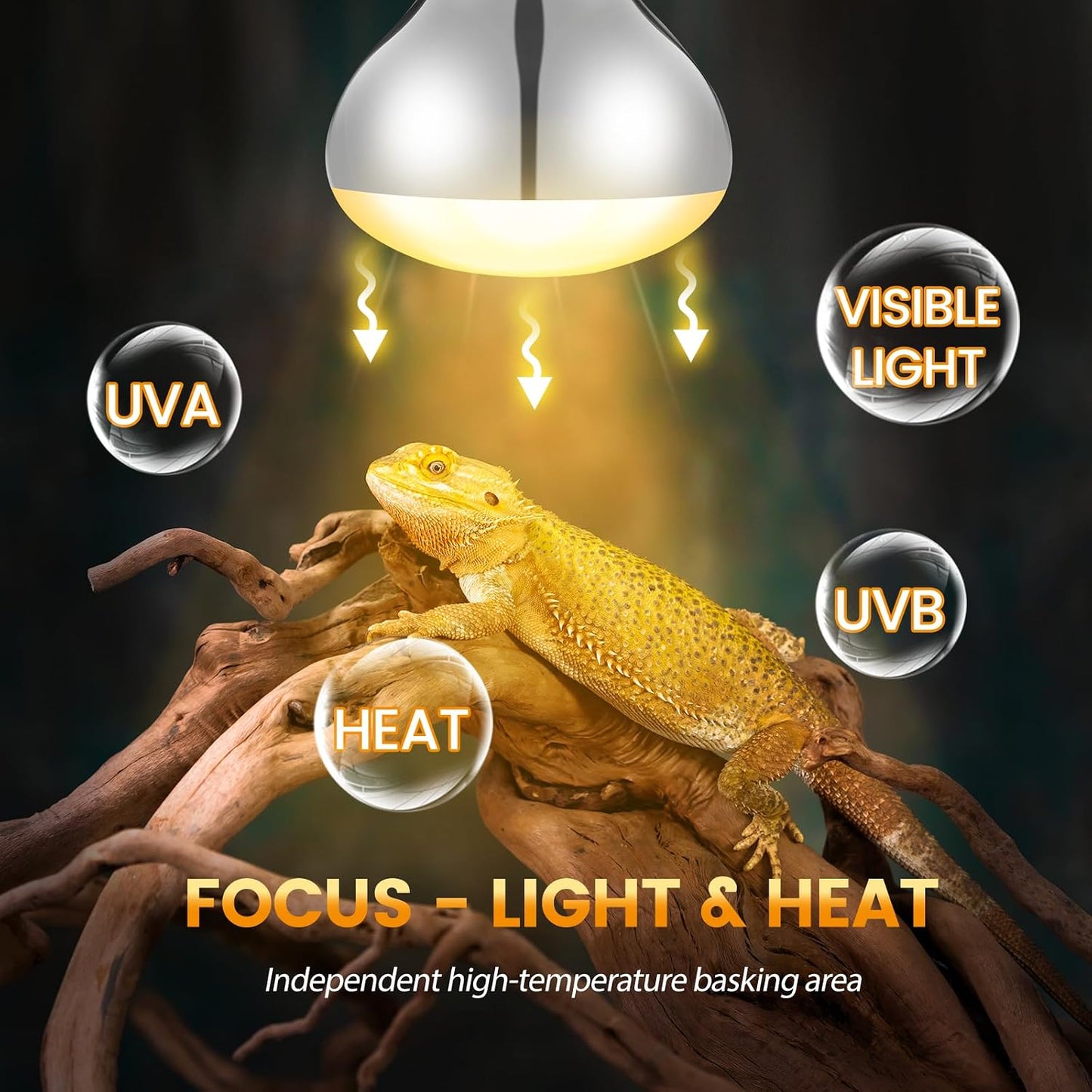 USA imported dual reptile light fixture close up socket details