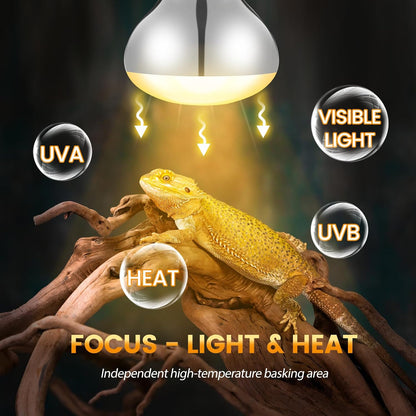 USA imported dual reptile light fixture close up socket details