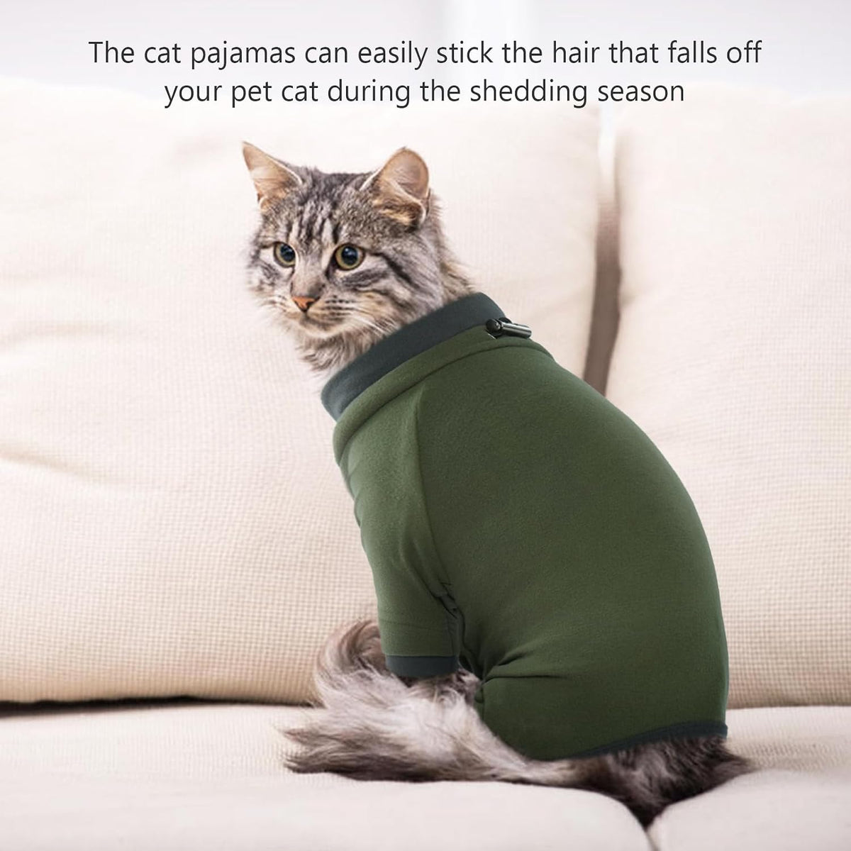Side profile of cat in green protective onesie