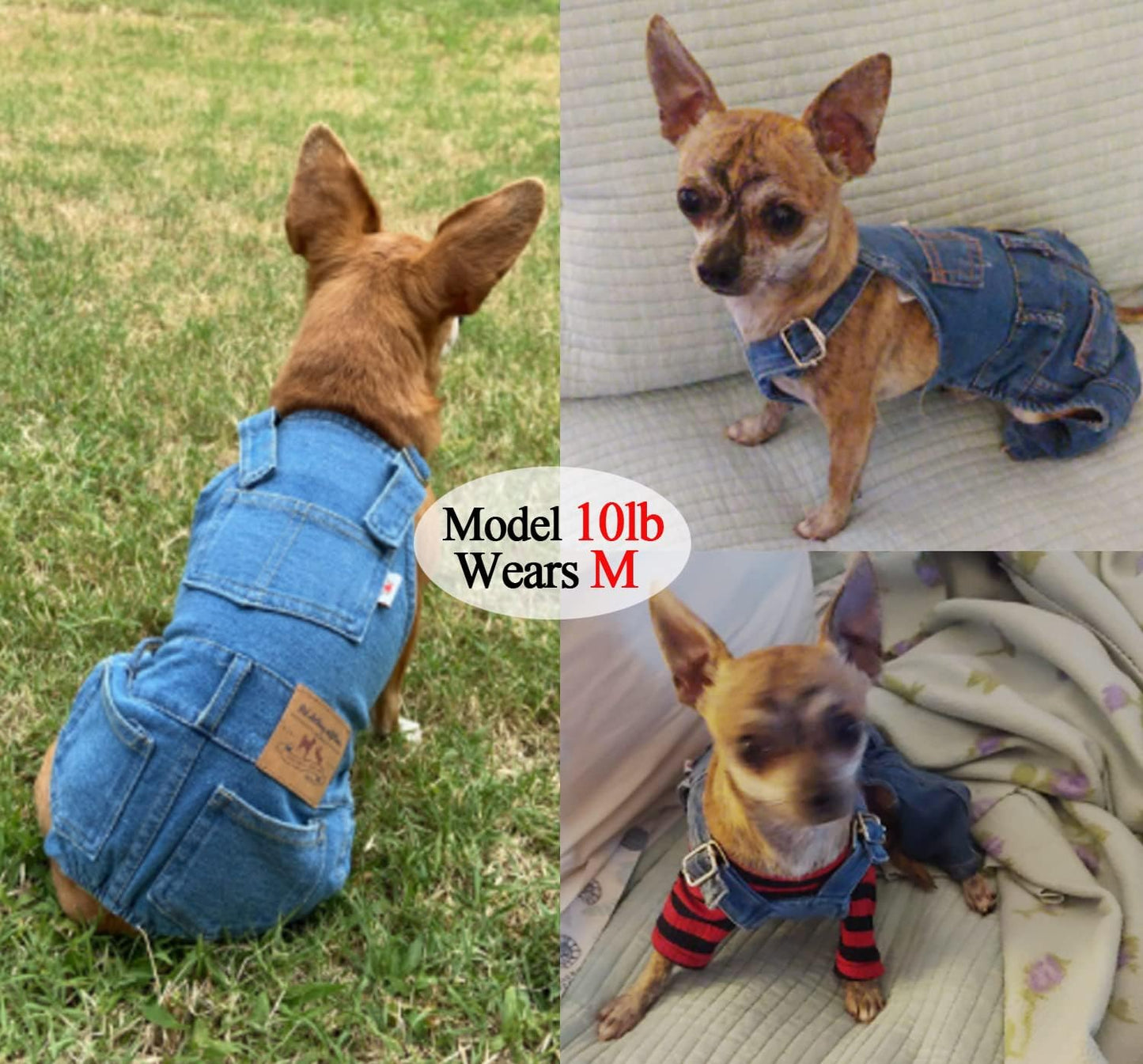 Tealots puppy jean jacket sling jumpsuit showcasing adjustable shoulder straps.