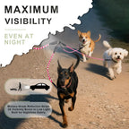 Detached configuration of the LEOSASA three pet lead splitters for flexible multi-dog walking.