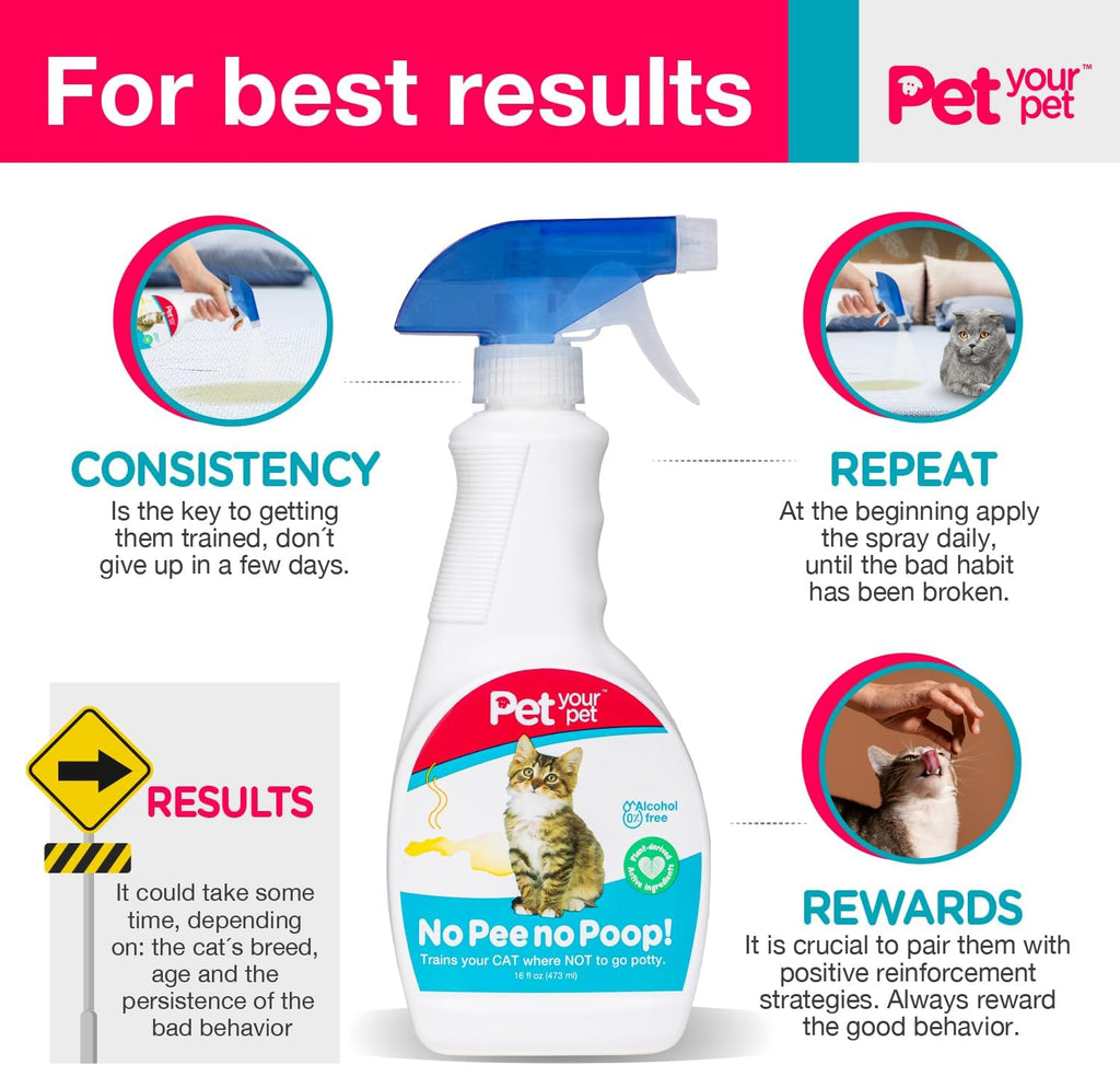 Non-toxic pet training spray near a living room couch boundary