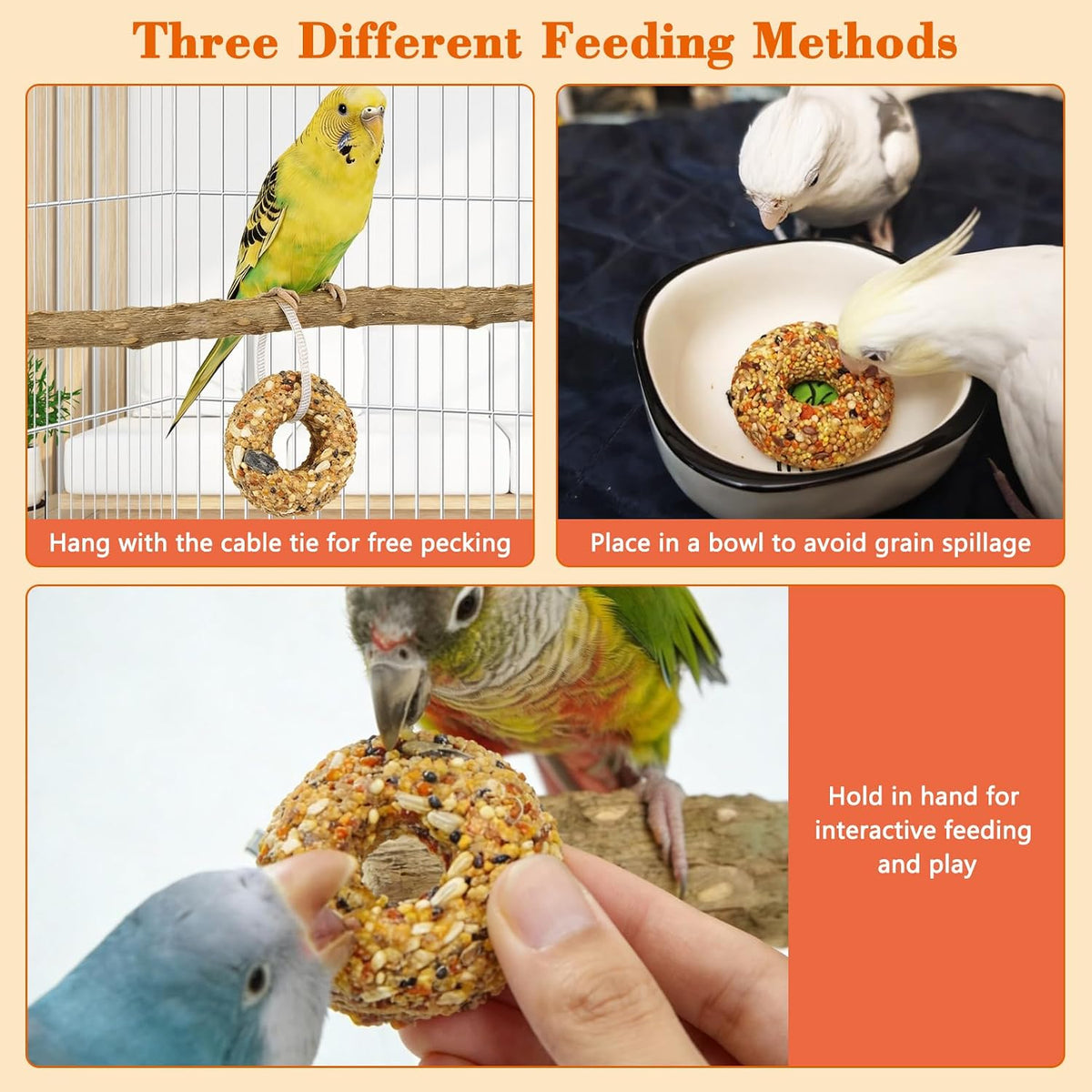 Budgie enjoying Fhiny natural grain donut treat