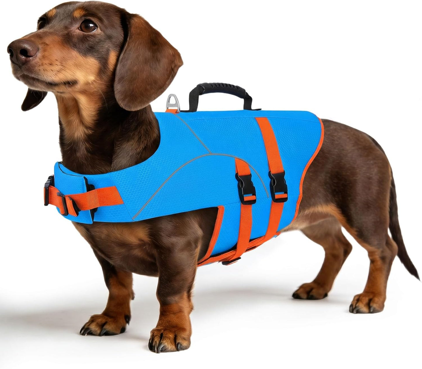 ASENKU Dog Life Jacket for Swimming & Boating, High Buoyancy Dog Life Vest with Rescue Handle, Reflective & Adjustable Fit for Small to Large Dogs (Blue, XL) - Image 11