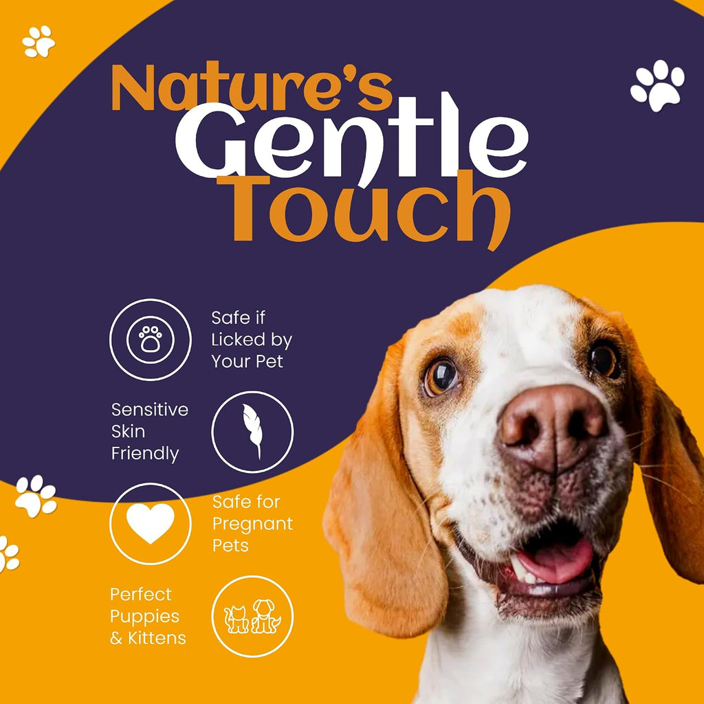 Vitamin B3 enriched pet topical mist for constant paw licking prevention