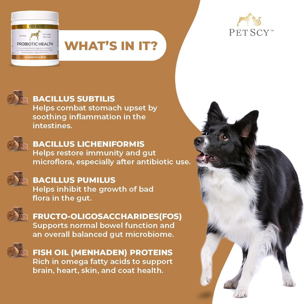 PetScy allergy friendly grain free dog probiotic chews packaging details