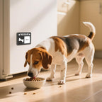 EliteSign the dog ate playful kitchen organization magnet