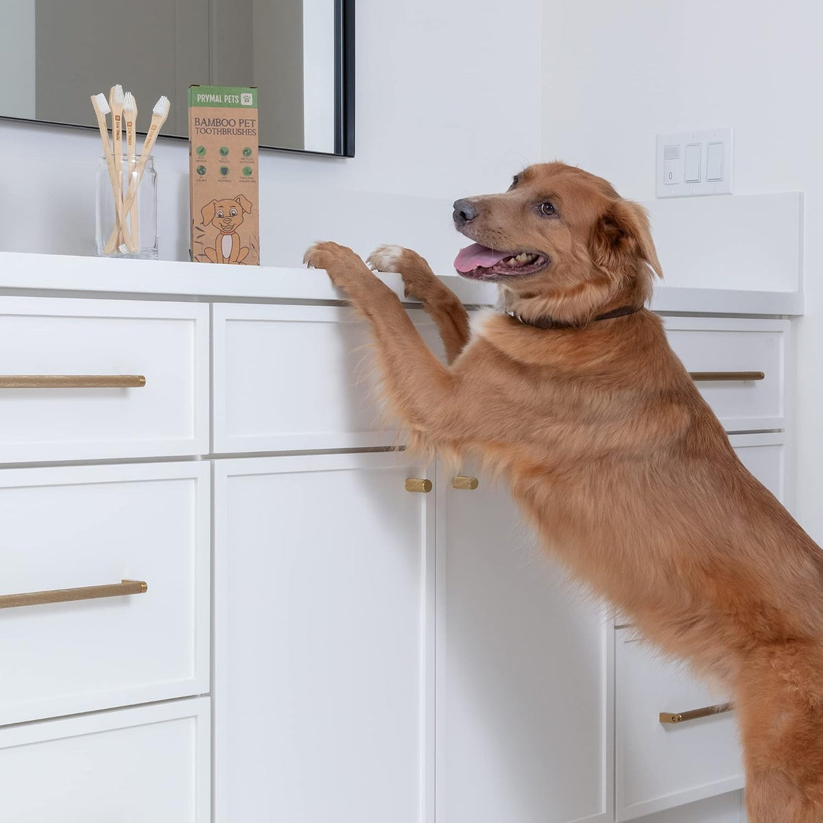Soft nylon bristles on bamboo pet toothbrush